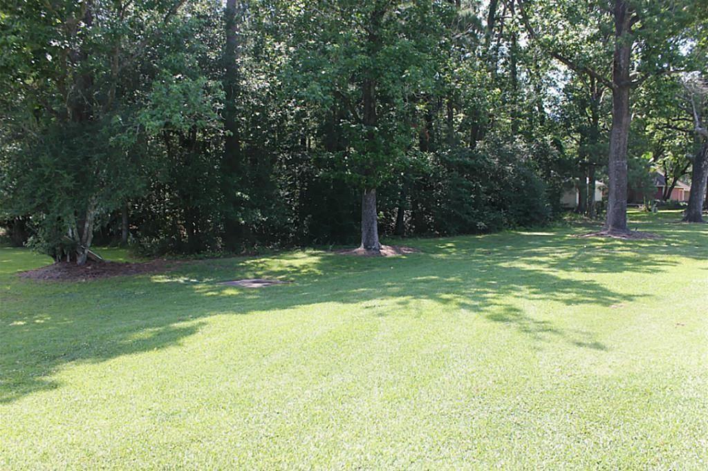 Land in Conroe 3