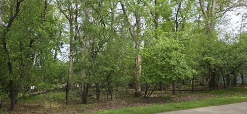 243 Van Bee Drive, Williams Bay, WI, 53191 | Card Image
