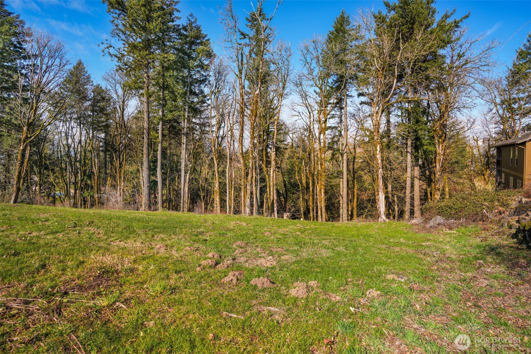 Land in Camas 3
