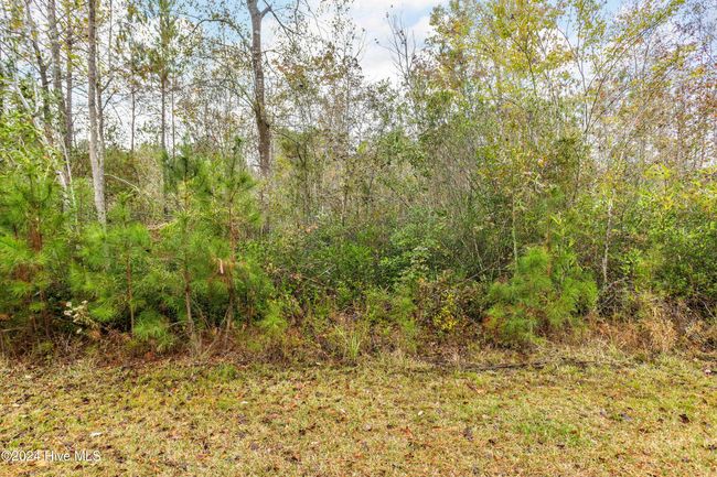 Near 169 Lizzies Drive, Home with 0 bedrooms, 0 bathrooms and null parking in Bolton NC | Image 10