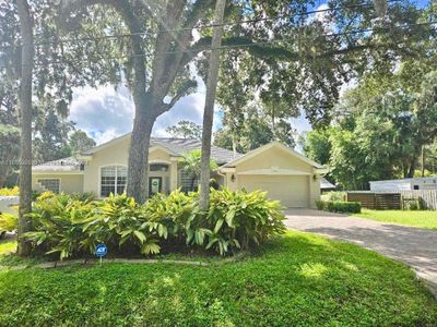 2076 Jungle Road, House other with 4 bedrooms, 2 bathrooms and null parking in New Smyrna Beach FL | Image 1