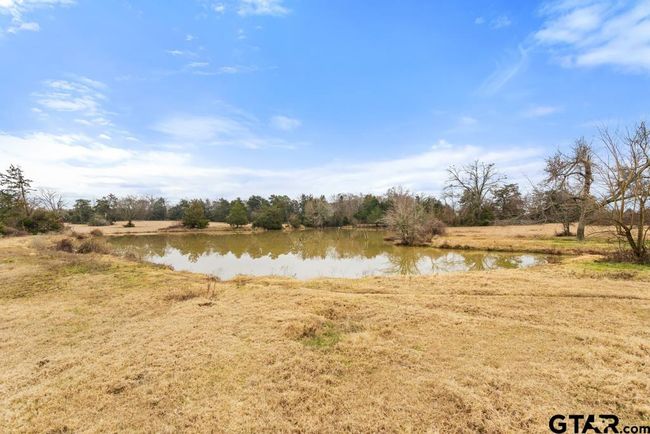 15037 State Highway 110, Home with 0 bedrooms, 0 bathrooms and null parking in Van TX | Image 43