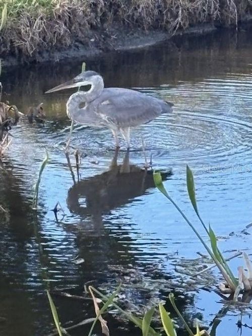 apt-1048-9860 62nd Ter N, St Petersburg, FL, 33708-3534 | Card Image