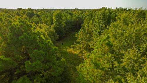 1763 Fm 2118, Bagwell, TX, 75412 | Card Image