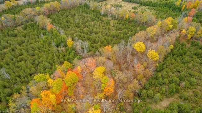 766 Westplain Rd, Home with 0 bedrooms, 0 bathrooms and null parking in Greater Napanee ON | Image 11
