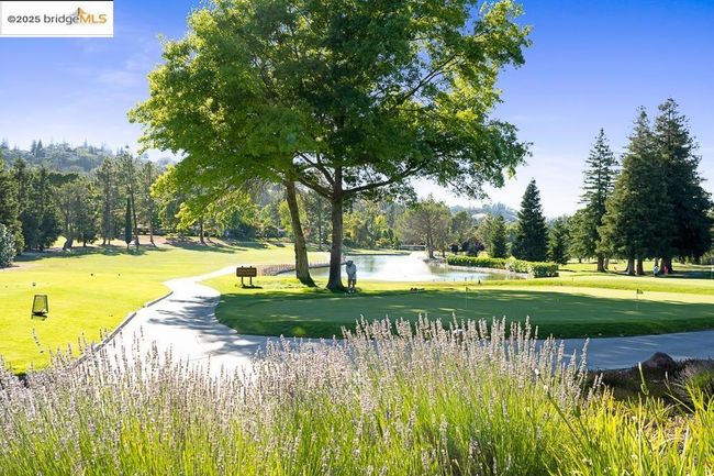 APT-4 - 1115 Running Springs Rd, Condo with 2 bedrooms, 2 bathrooms and 1 parking in Walnut Creek CA | Image 17