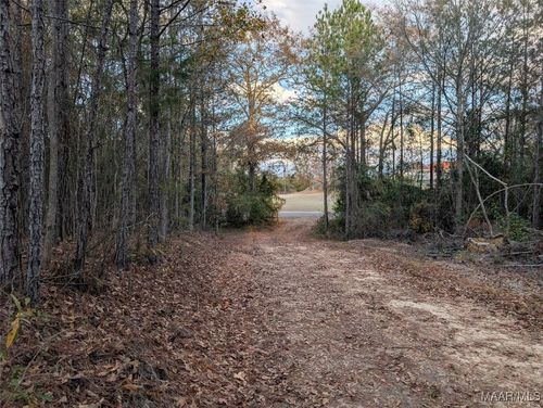 0 Bear Dr, Billingsley, AL, 36006 | Card Image