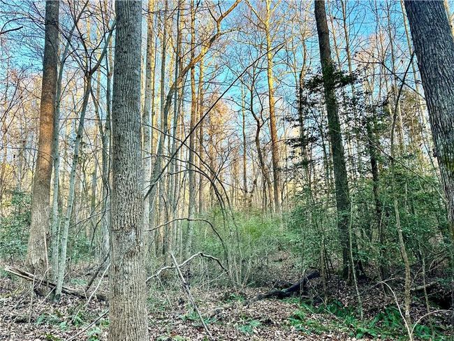 00 Farmstead Rd, Home with 0 bedrooms, 0 bathrooms and null parking in Seagrove NC | Image 21