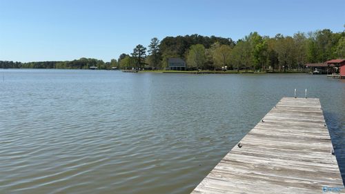 16-2516 Us Highway 411 S, Leesburg, AL, 35983-3154 | Card Image