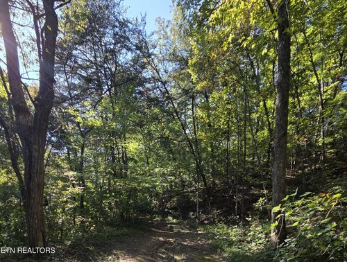98 Redbud Lane, Sevierville, TN, 37876 | Card Image