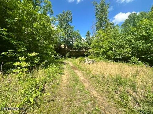 0 Bear Knob Ln, Crawford, TN, 38554 | Card Image