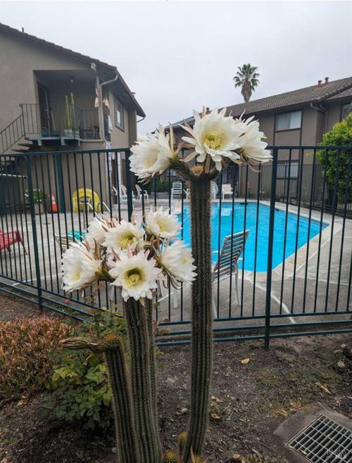 951 Copeland Creek Drive, Rohnert Park, CA, 94928 | Card Image
