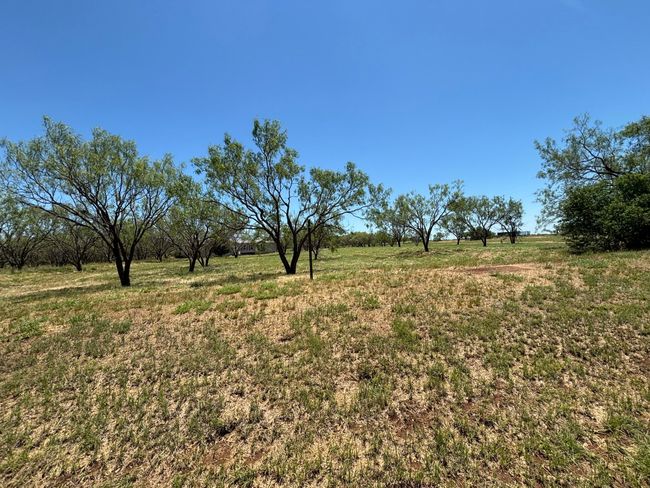 6480 Fm 603, House other with 4 bedrooms, 2 bathrooms and null parking in Clyde TX | Image 21