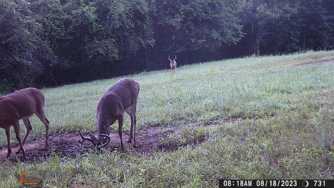 From property cameras | Image 16