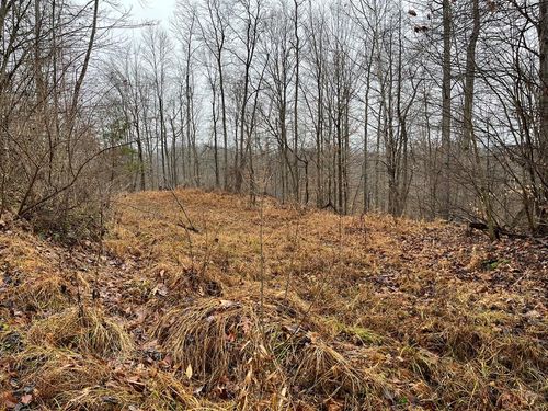 RT 64 Braden Hill Rd., Alma, WV, 26320 | Card Image