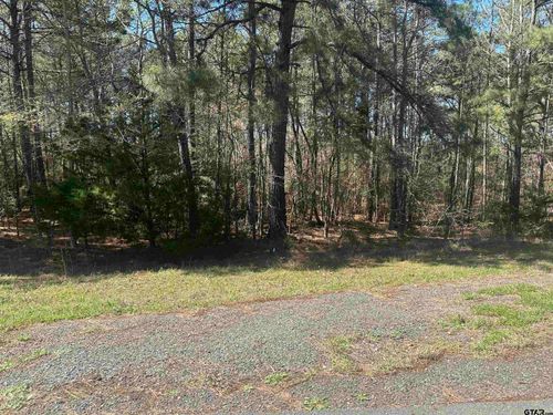 TBD 3.301 Acres Cherokee Cove Dr., Jacksonville, TX, 75766 | Card Image