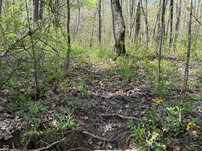 view of landscape with a wooded view | Image 24
