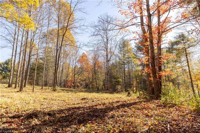 0 Laurel Creek Rd Ne, Home with 0 bedrooms, 0 bathrooms and null parking in Pilot VA | Image 21