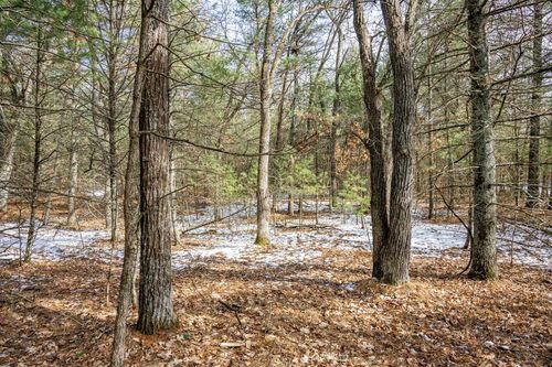 Lot 39 S Badger Ln, Arkdale, WI, 54613 | Card Image