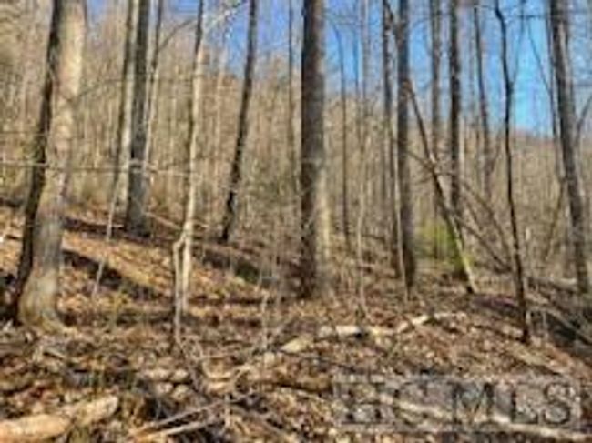 528 Early Deitz Rd, Home with 0 bedrooms, 0 bathrooms and null parking in Sylva NC | Image 6