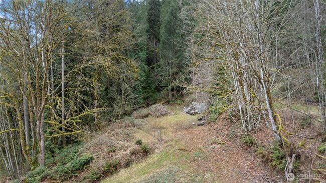7801 Tolt River Rd Ne, Home with 0 bedrooms, 0 bathrooms and null parking in Carnation WA | Image 5
