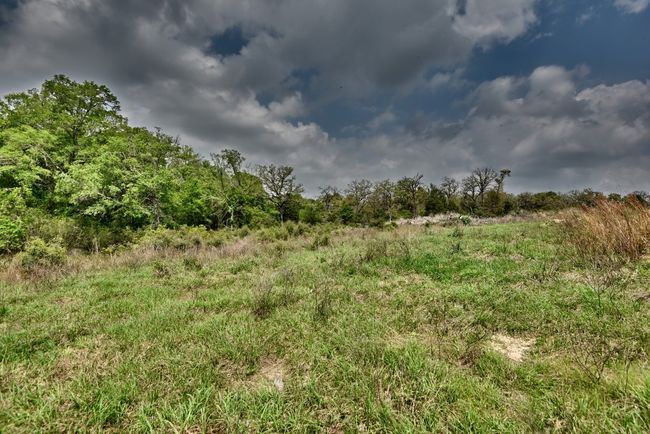 View of local wilderness | Image 22