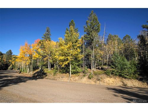 11637 Leavenworth Dr, Conifer, CO, 80433-7520 | Card Image