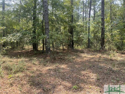 0 (Tract #1) Indigo Rd, Springfield, GA, 31329 | Card Image