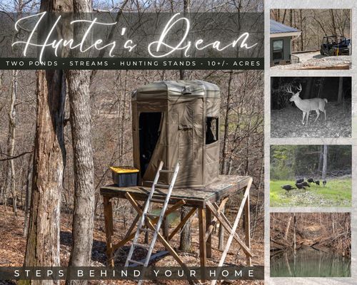 1590 Red Rock Road, Galena, MO, 65656 | Card Image