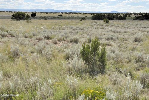 76 acres Cr 6451, St. Johns, AZ, 85936 | Card Image