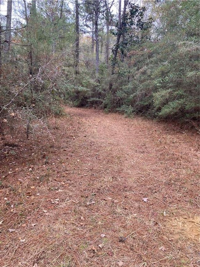 59735 Monroe Creek Rd, House other with 3 bedrooms, 2 bathrooms and null parking in Angie LA | Image 32