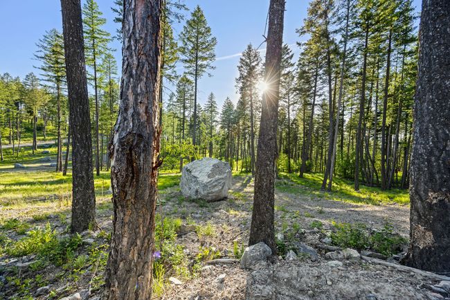 74 Trails End Ct, Home with 0 bedrooms, 0 bathrooms and null parking in Bigfork MT | Image 27