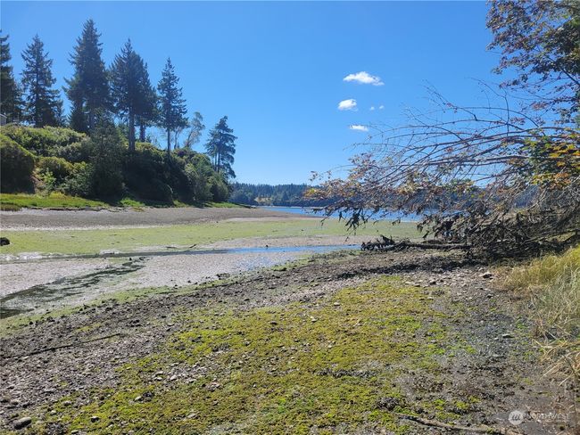 This is the Community Beach | Image 14