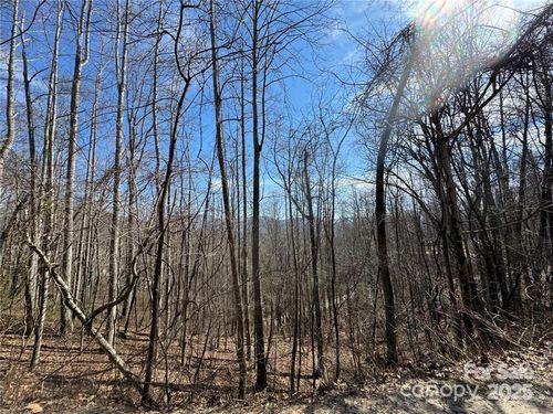 7-00 Windermere Woods Rd, Franklin, NC, 28734 | Card Image