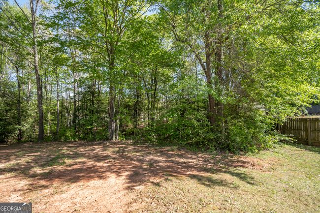 344 River Landing Dr, House other with 4 bedrooms, 2 bathrooms and null parking in Monroe GA | Image 36