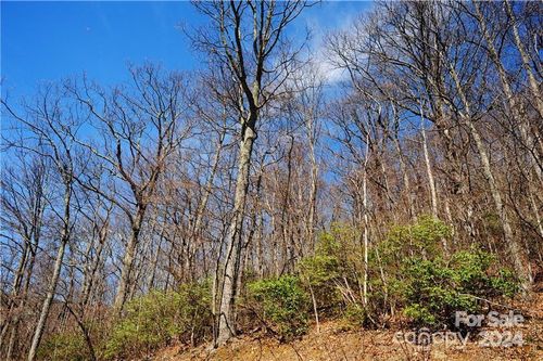 1104-35 Wedgewood Ter, Black Mountain, NC, 28711-7701 | Card Image