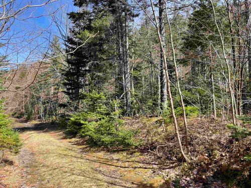 6.4AC Black Head Rd, Englishtown, NS, B0C | Card Image