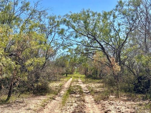 12015 Deer Ln, San Angelo, TX, 76904-3913 | Card Image