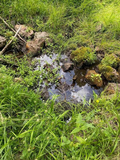 83 Elk Horn Dr, Angel Fire, NM, 87710 | Card Image