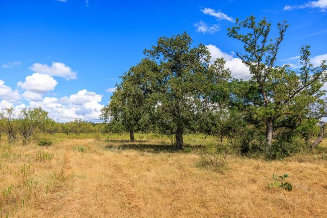 5 - 0B Ranch Road 1323, Home with 0 bedrooms, 0 bathrooms and null parking in Willow City TX | Image 22