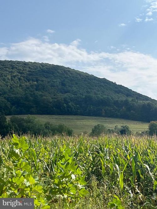 0 Ridge Rd, Klingerstown, PA, 17941 | Card Image