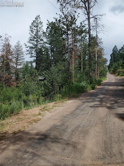  Ute Road, Cascade, CO, 80809 | Card Image