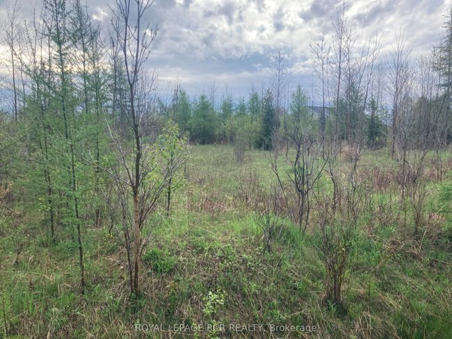 PtLot 8 Con 2 N/A, Home with 0 bedrooms, 0 bathrooms and null parking in Amaranth ON | Image 4