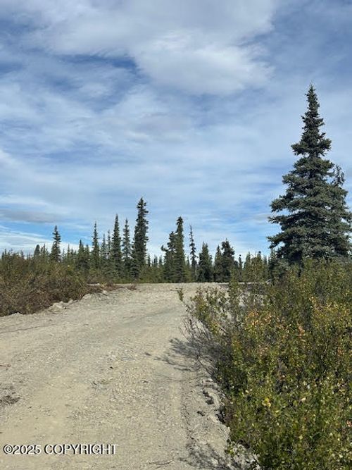 49296 S Timberwolf Rd, Chickaloon, AK, 99674 | Card Image