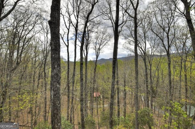 467 - 203 Cherry Log St, House other with 2 bedrooms, 2 bathrooms and null parking in Cherry Log GA | Image 17