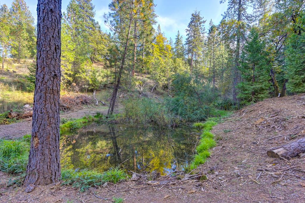 Land in Colfax 2