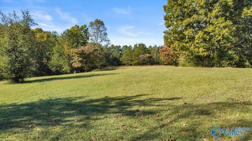 1289 County Road 52, Collinsville, AL, 35961 | Card Image