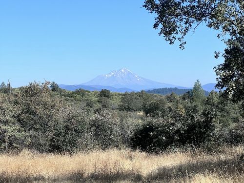0000 Terry Mill Rd, Round Mountain, CA, 96084 | Card Image