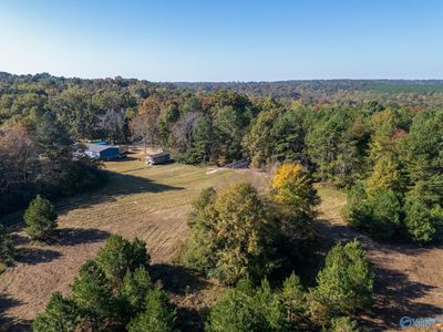 595 County Road 1281, Home with 0 bedrooms, 0 bathrooms and null parking in Falkville AL | Image 1