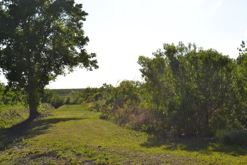 TBD Alex Plaisance Blvd, Golden Meadow, LA, 70357 | Card Image